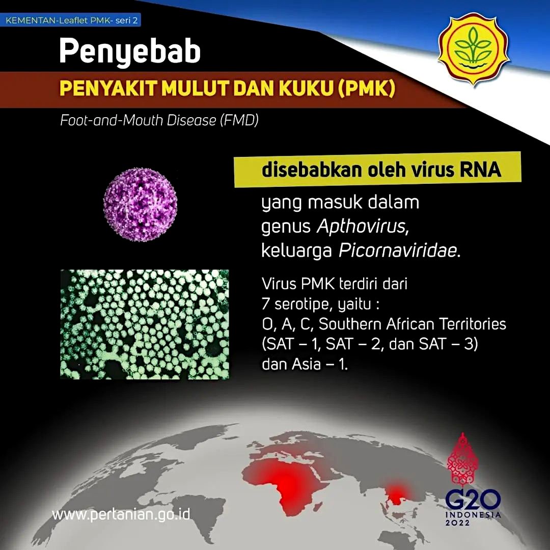 Penyakit mulut dan kuku (PMK) di sebabkan oleh virus RNA dari genus Apthovirus, keluarga Picornaviridae dan tersebar sejumlah negara Asia dan Afrika.