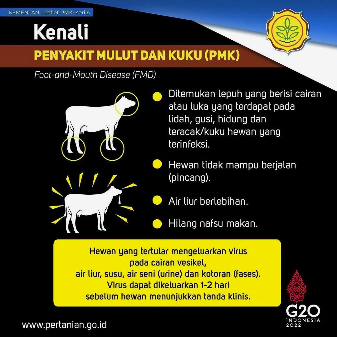 Tanda penyakit mulut dan kuku (PMK) meliputi lepuh / luka pada gusi, lidah, hidung dan kuku, air liur berlebihan dan hilang nafsu makan.