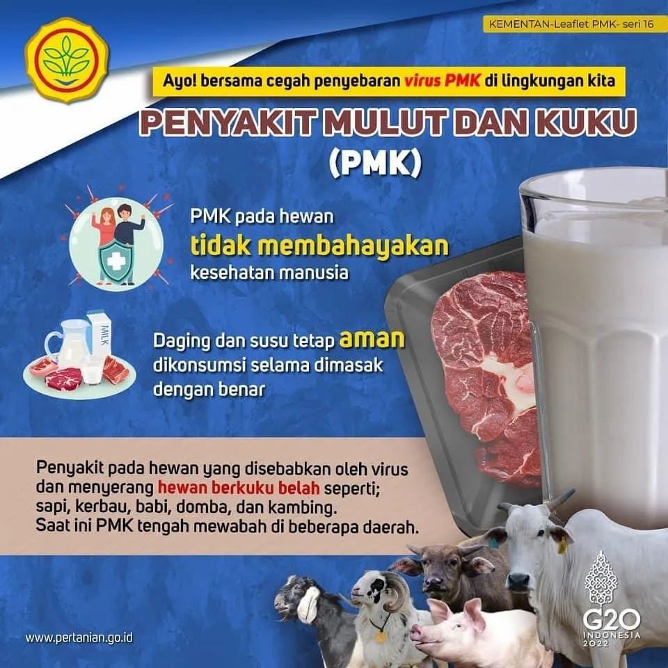 Daging dan susu pada ternak yang terkena penyakit mulut dan kuku (PMK) tetap aman di konsumsi asal diolah dengan benar.