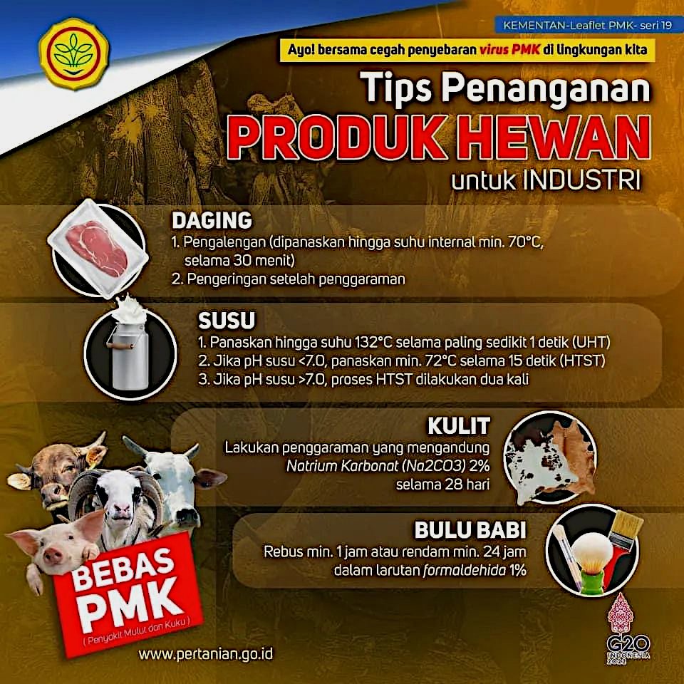 Tips mengolah hewan ternak yang terindikasi terkena penyakit mulut dan kuku (PMK)